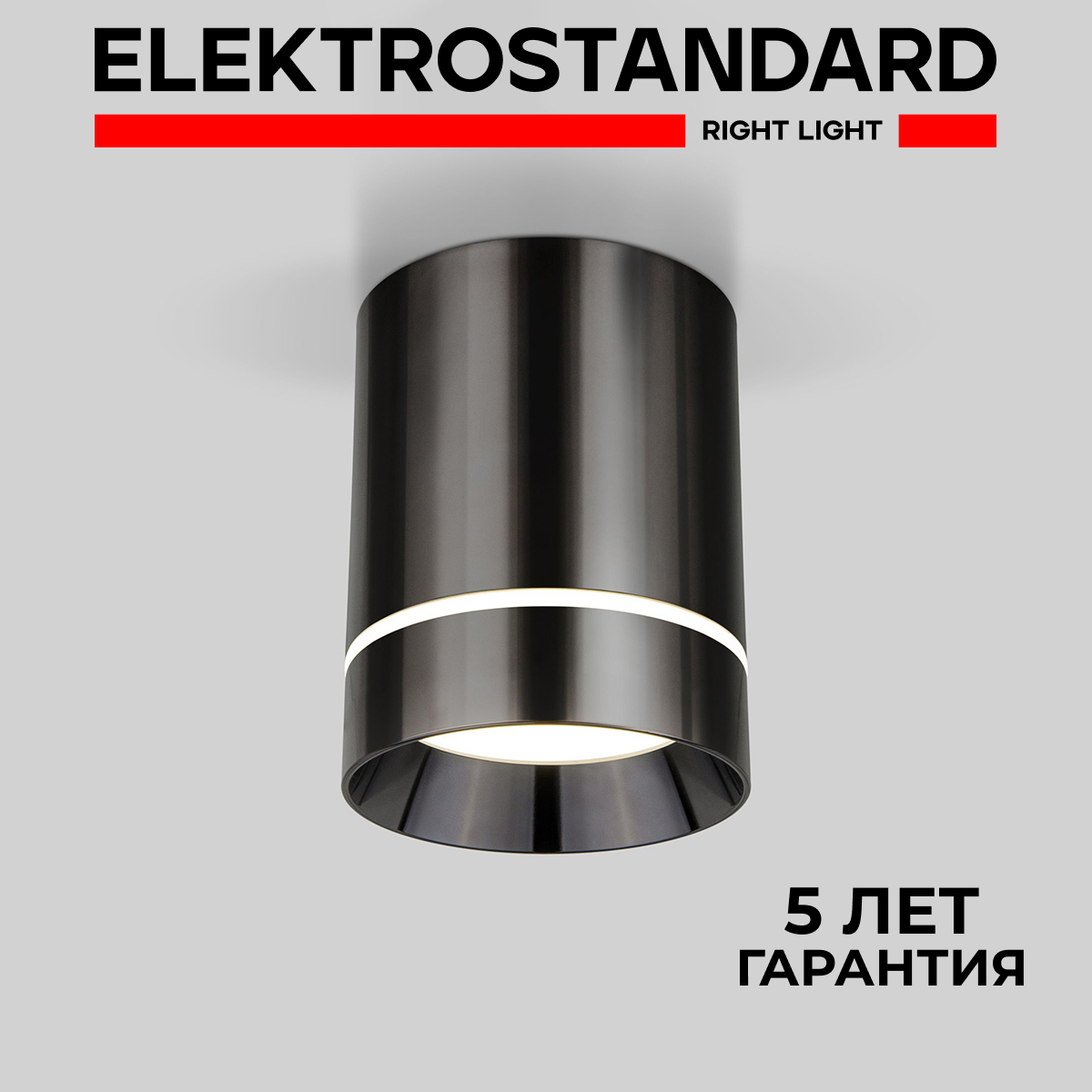 Потолочный акцентный светильник Elektrostandard DLR021 9W 4200K Черный жемчуг