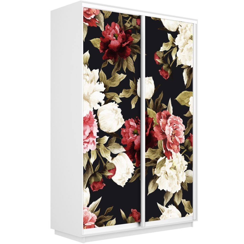 

Шкаф Е1 Экспресс Фото дуо Белый снег 220-160 1020, Экспресс Фото Дуо