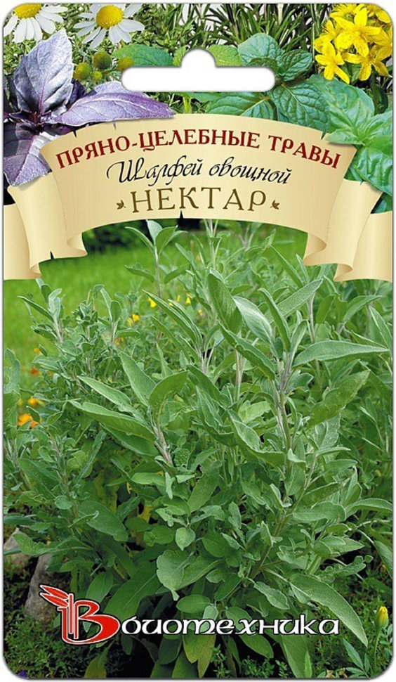 

Семена Биотехника 38754-Биотех Шалфей овощной Нектар, 0,3 г