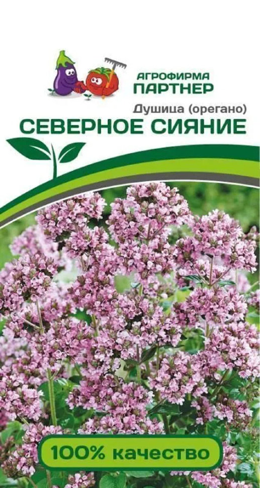 

Семена Партнер Агрофирма 38925-Партнер Душица (орегано) Северное Сияние, 0,1 г