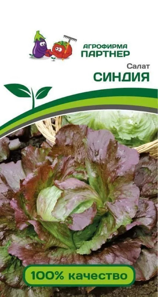 

Семена салат Синдия Агрофирма Партнер 38913