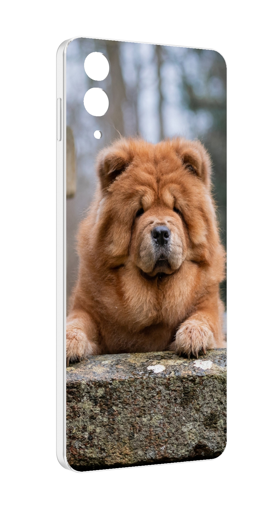 

Чехол MyPads чау чау для Samsung Galaxy Z Flip 4 (SM-F721), Прозрачный, Tocco