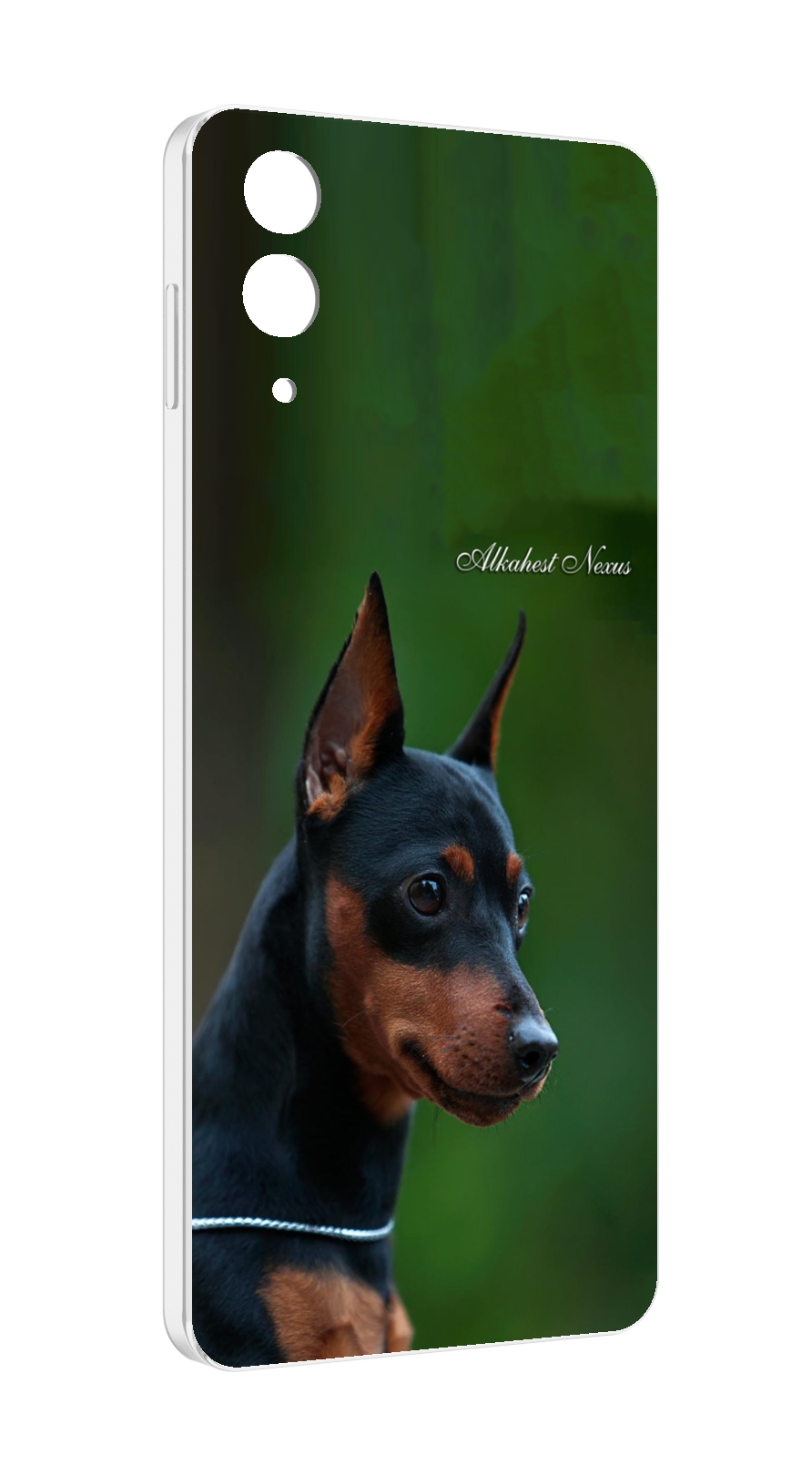 

Чехол MyPads цвергпинчер черпинчер для Samsung Galaxy Z Flip 4 (SM-F721), Прозрачный, Tocco