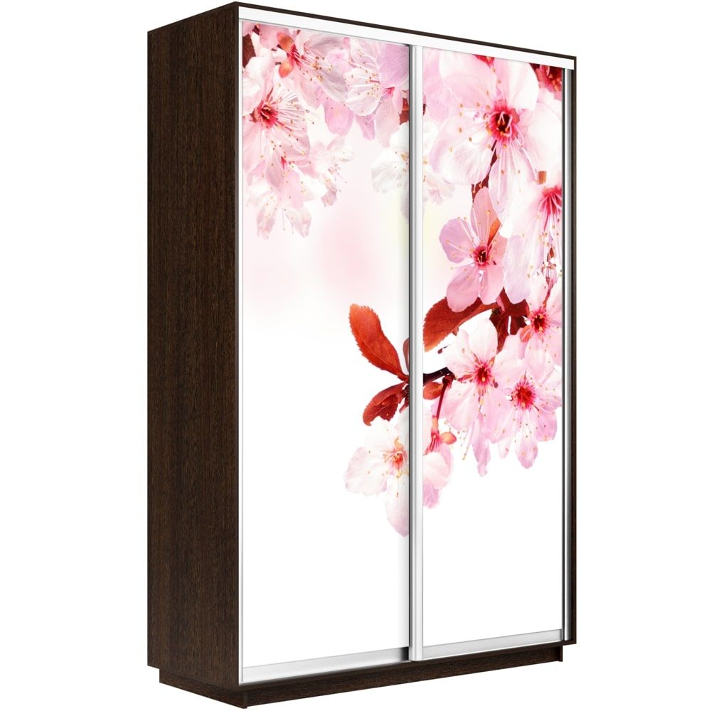 

Шкаф Е1 Экспресс Фото дуо Венге 240-140 SAKURA, Коричневый, Экспресс Фото Дуо