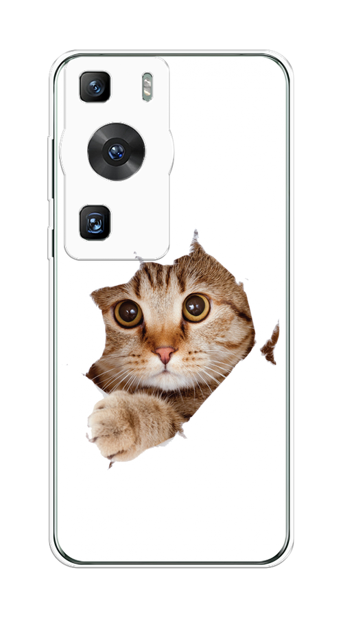 

Чехол на Huawei P60/P60 Pro "Кот и бумага", Белый;коричневый, 6121150-1