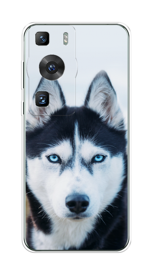 

Чехол на Huawei P60/P60 Pro "Хаски 2", Синий;белый, 6121150-1
