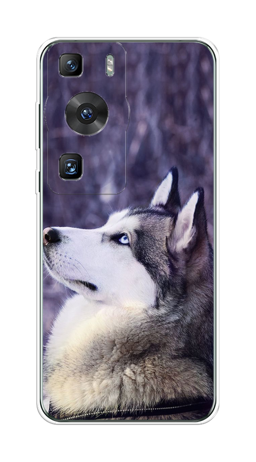 

Чехол на Huawei P60/P60 Pro "Хаски 1", Фиолетовый;белый, 6121150-1