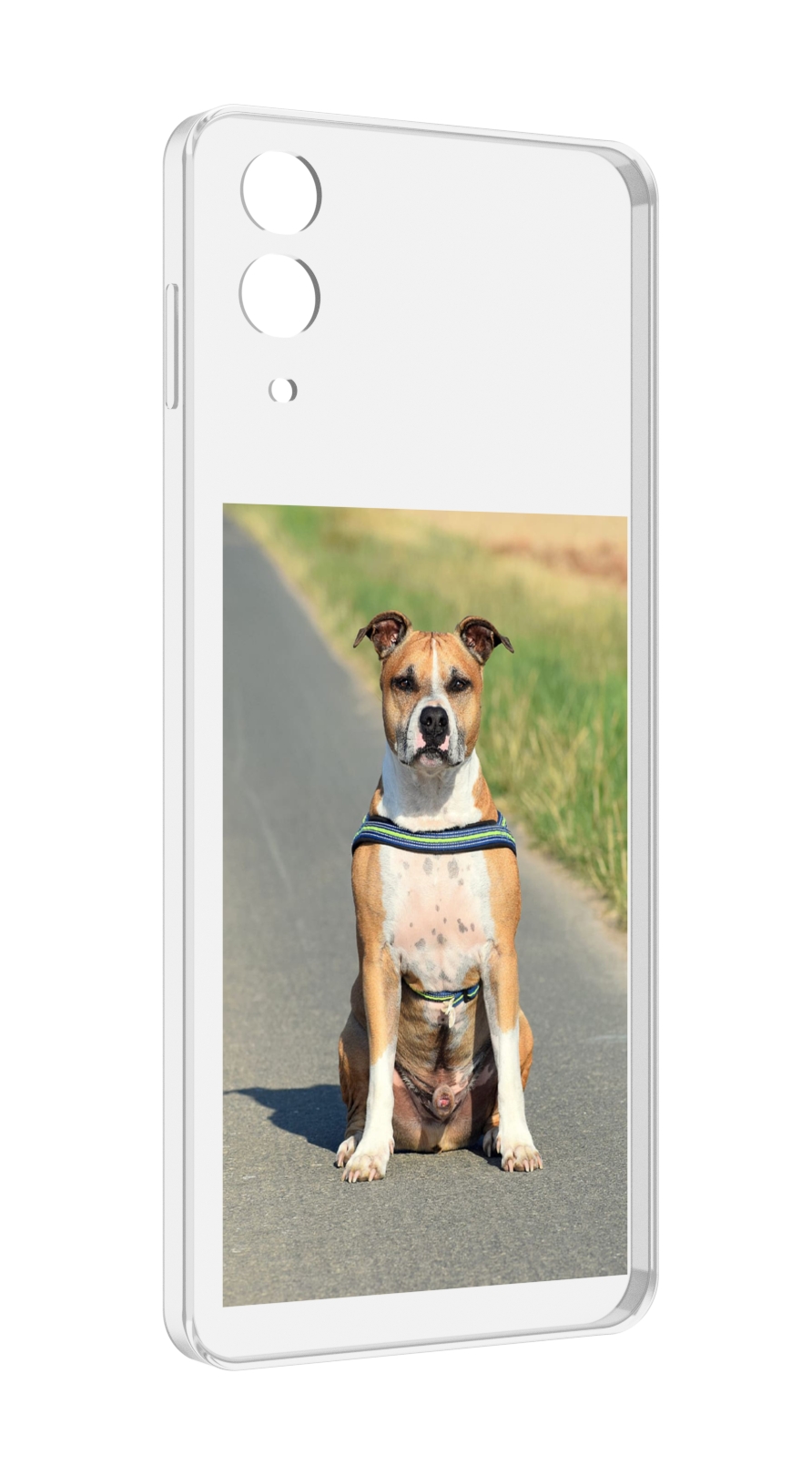 

Чехол MyPads стаффорд терьер для Samsung Galaxy Z Flip 4 (SM-F721), Прозрачный, Tocco