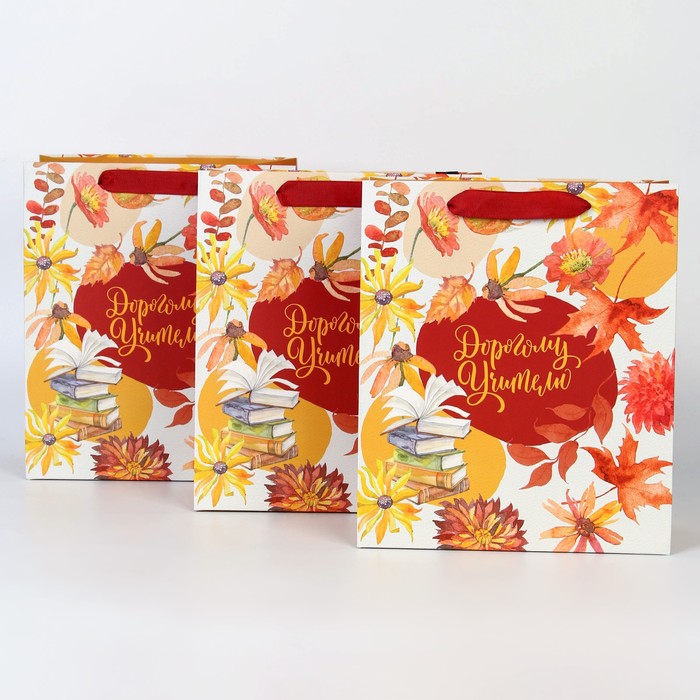 

Набор пакетов ламинированных вертикальных «Дорогому учителю», ML 27 х 23 х 11,5 см, Разноцветный