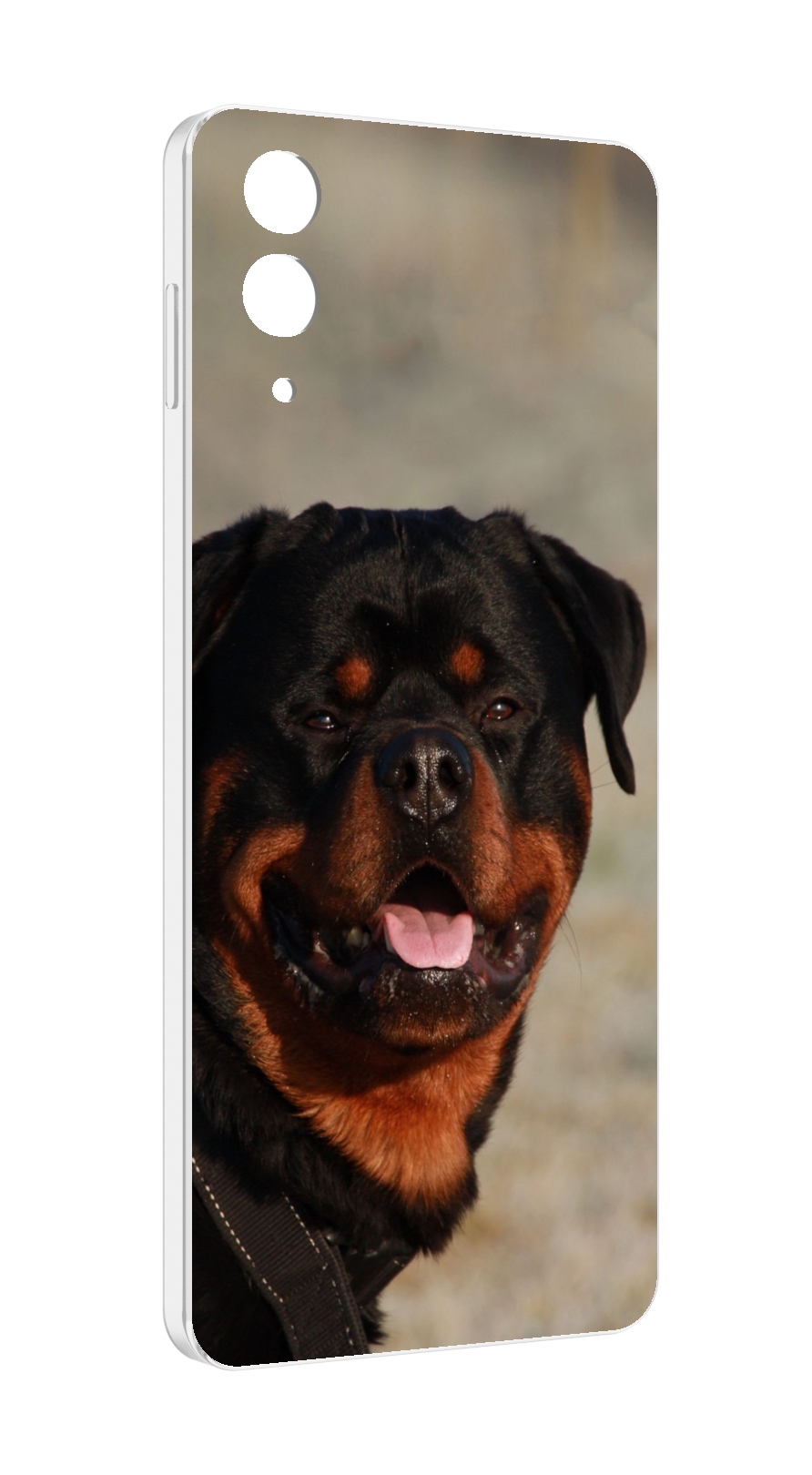 

Чехол MyPads ротвеллер 2 для Samsung Galaxy Z Flip 4 (SM-F721), Прозрачный, Tocco