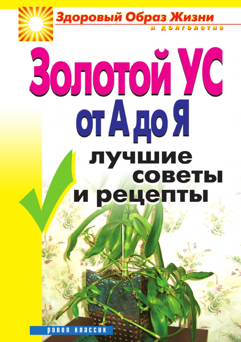 

Золотой ус от А до Я: Лучшие советы и рецепты