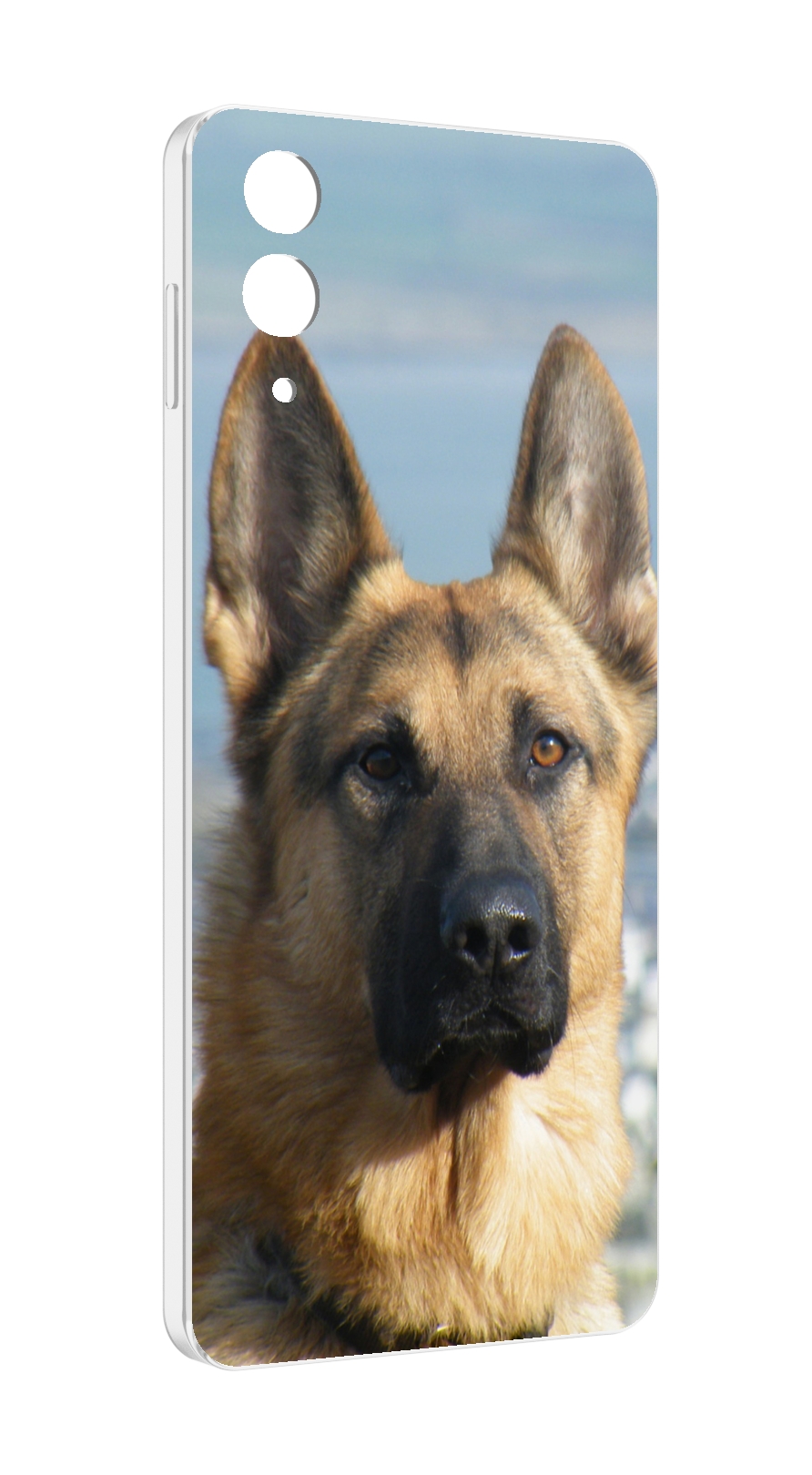

Чехол MyPads немецкая овчарка для Samsung Galaxy Z Flip 4 (SM-F721), Прозрачный, Tocco