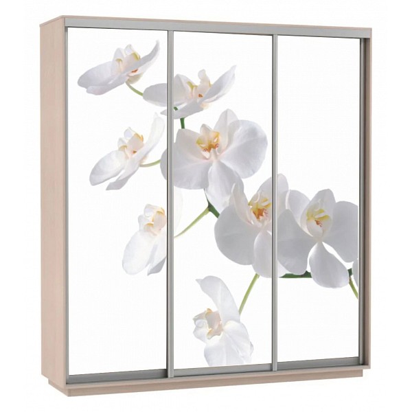 

Шкаф-купе Экспресс Фото Трио Орхидея 2400x600x2400, Экспресс Фото Трио Орхидея 2400x600x2400