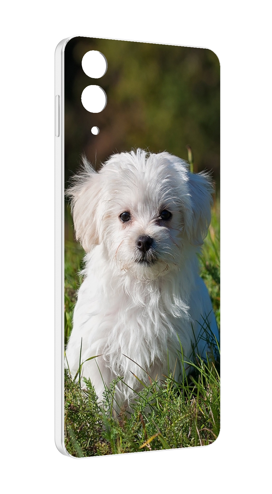 Чехол MyPads мальтии?ская-болонка для Samsung Galaxy Z Flip 4 (SM-F721)