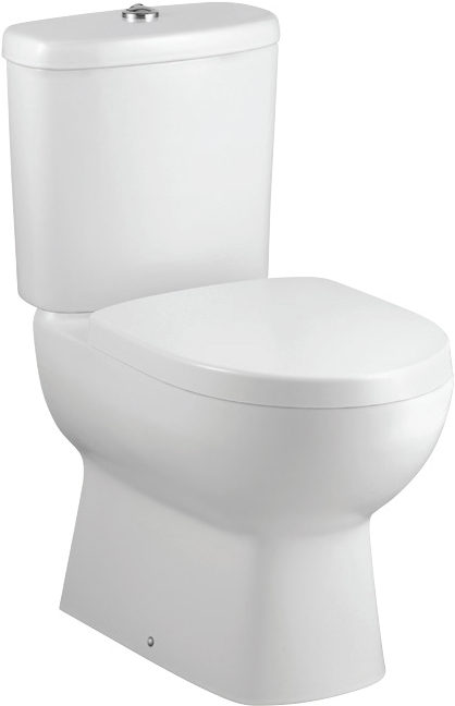 

Напольный унитаз Jacob Delafon Panache E1370-00 с бачком E1368-00
