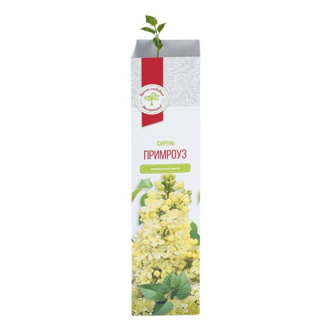 

Саженцы Сирень Русский Огород 230 г