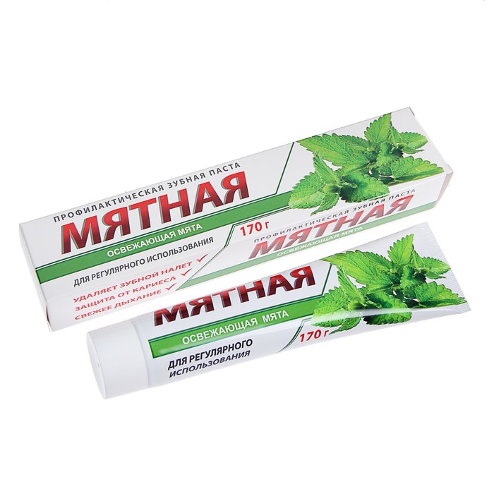

Зубная паста МЯТНАЯ туба 170 г