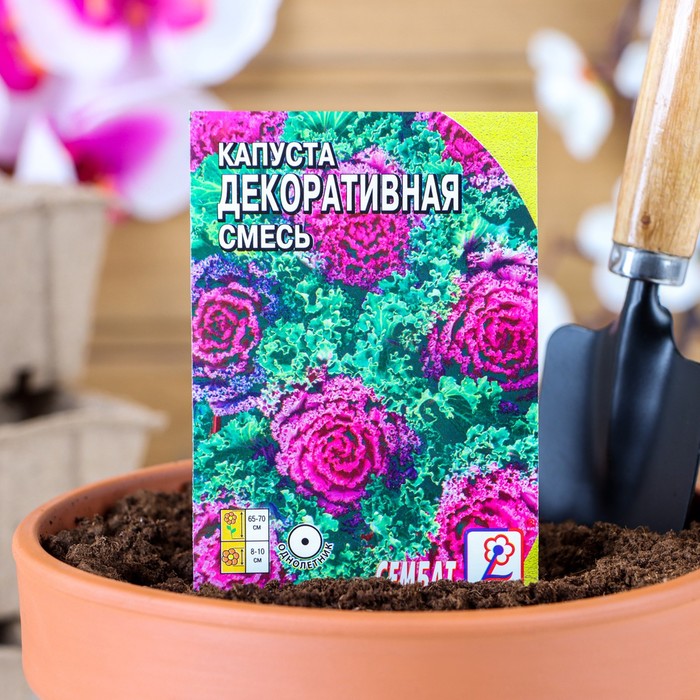 

Семена цветов Капуста Декоративная, смесь, 40 шт