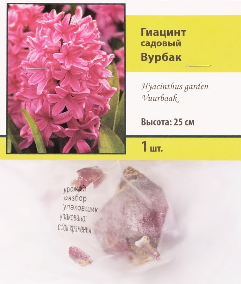 

Гиацинт Поиск микс