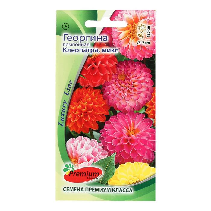 

Семена цветов Георгина помпонная "Клеопатра", микс, 0,1 г