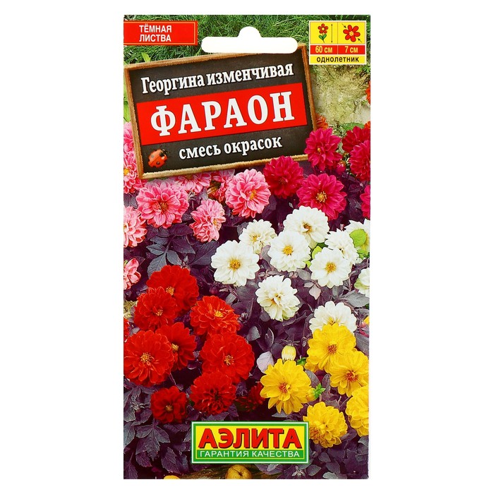 

Семена цветов Георгина "Фараон", смесь окрасок, О, 0,3 г