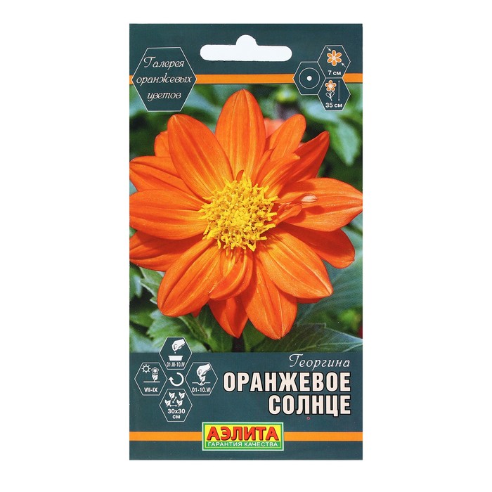 

Семена Цветов Георгина Оранжевое солнце, 7 шт
