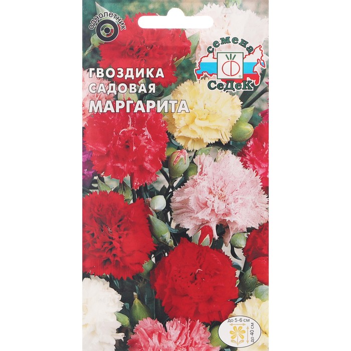 

Семена цветов цветок Гвоздика Маргарита (садовая, смесь цветов) . Евро, 0,1 г