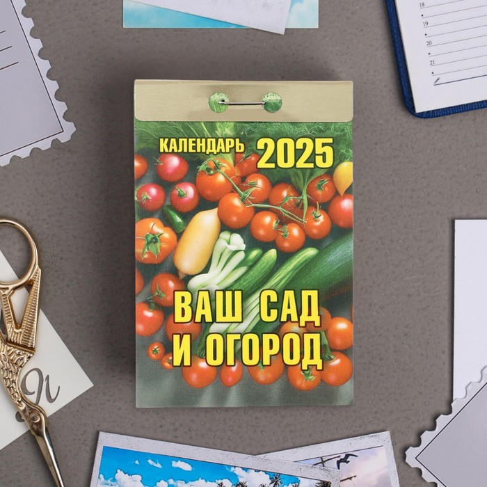 

Календарь отрывной Атберг 98 Ваш сад и огород 2025 год, 7,7 х 11,4 см