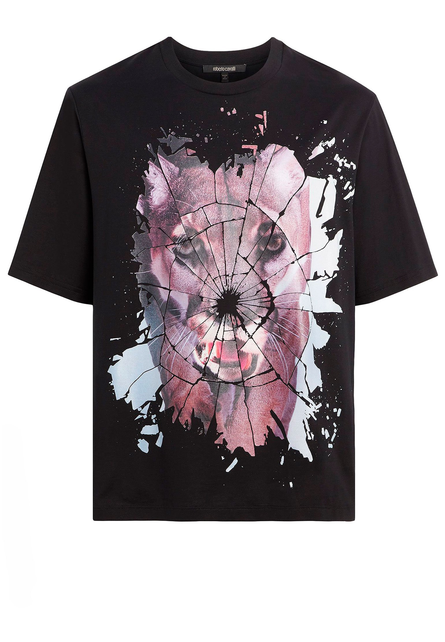

Футболка мужская Roberto Cavalli 105314 черная XL, 105314