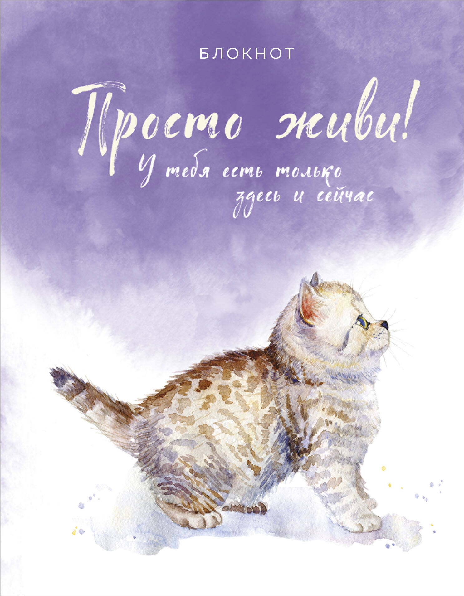 

Блокнот Бомбора Просто живи . Бомбора. А5