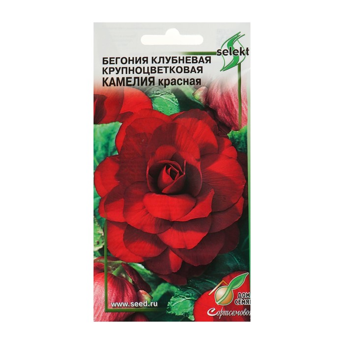 

Семена цветов Бегония крупноцвет "Камелия", красная, 10 шт