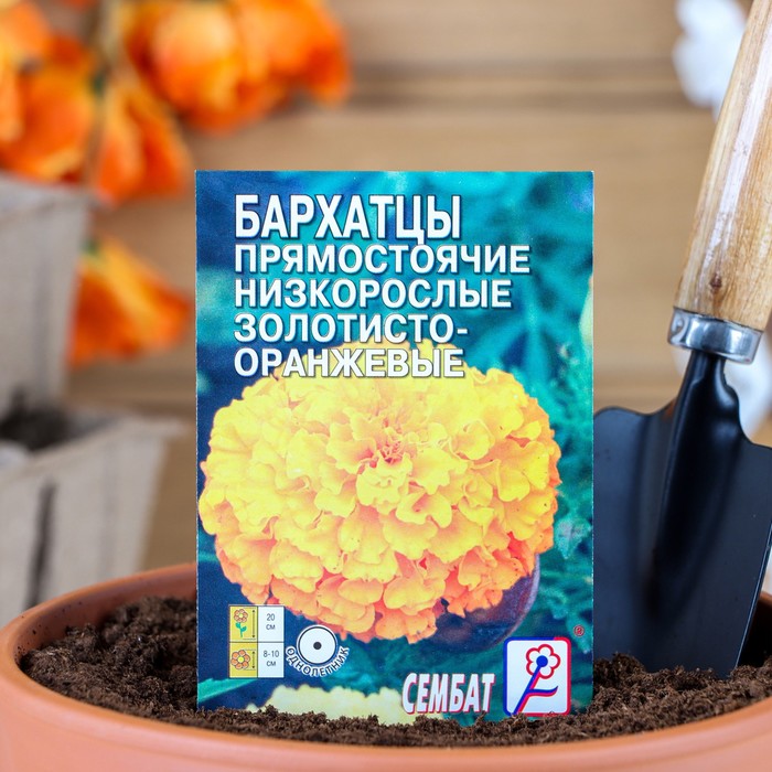 

Семена цветов Бархатцы прямостоячий низкорослый золотисто-оранжевый, О, 0,1 г