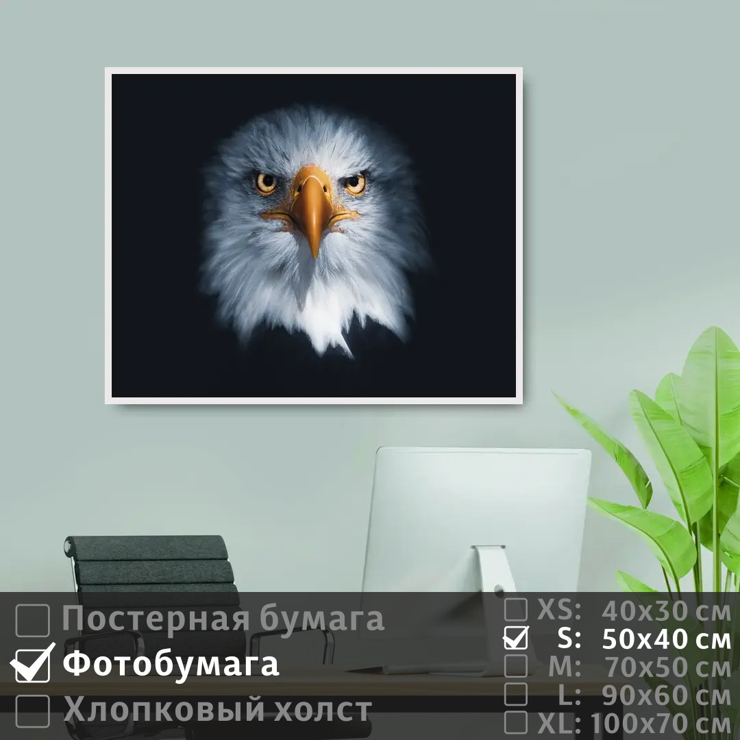 

Постер на фотобумаге ПолиЦентр Хищная сова с оранжевым клювом 50х40 см, ХищнаяСоваСОранжевымКлювом