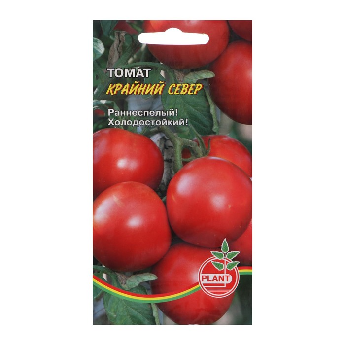 

Семена Томат Plant Крайний север 20 шт