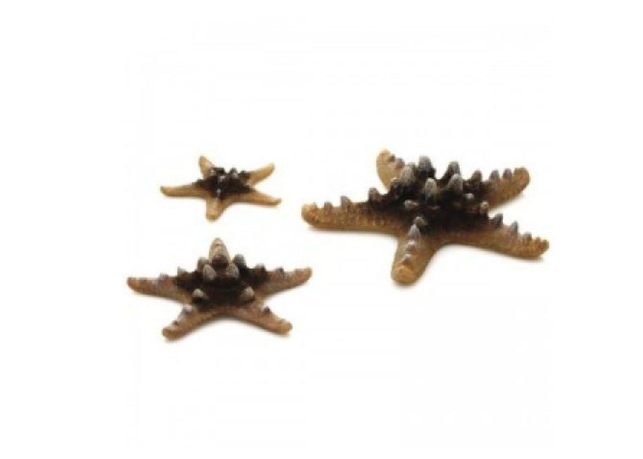 Набор бежевых морских звезд, Sea Star set 3 natural, 8 см 100044396776 коричневый