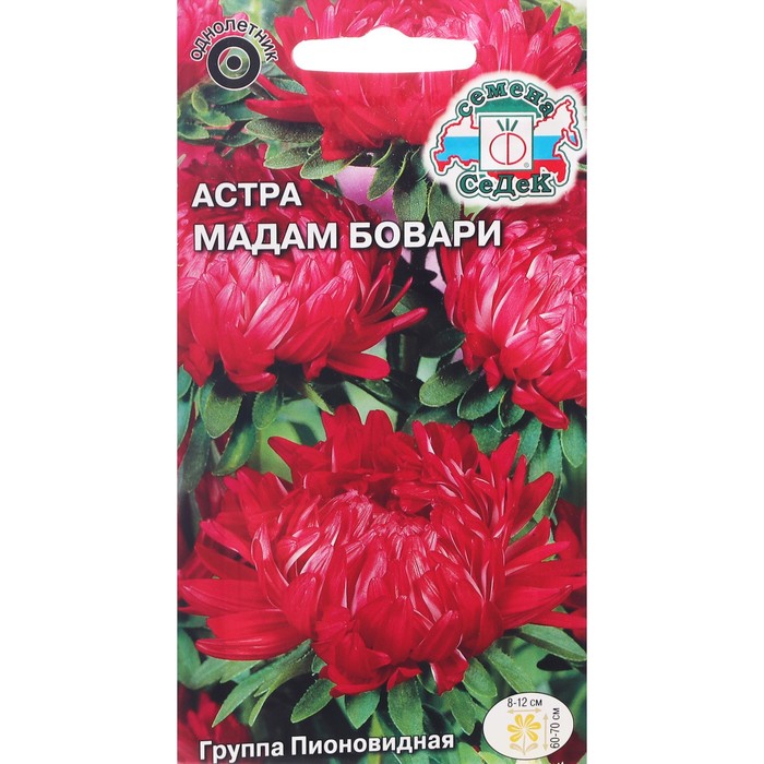 

Семена цветов цветок Астра Мадам Бовари (китайская, пионовидная, темно-красная) . Евро, 0,