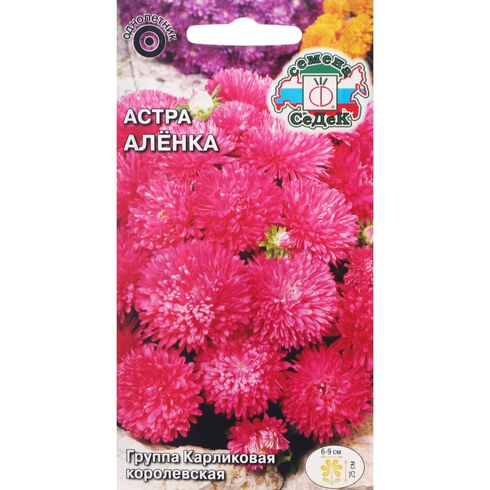 

Семена цветов цветок Астра Алёнка (китайская, карликовая королевская, ярко-розовая) . Евро