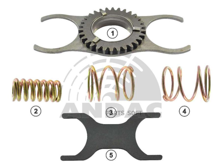 Ремкомплект ГРМ Andac  081020344