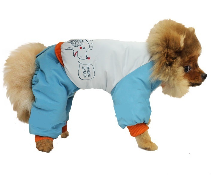 Комплект полукомбинезон и куртка ZooExpress DogVille 52021д, принт, на кнопках, зима