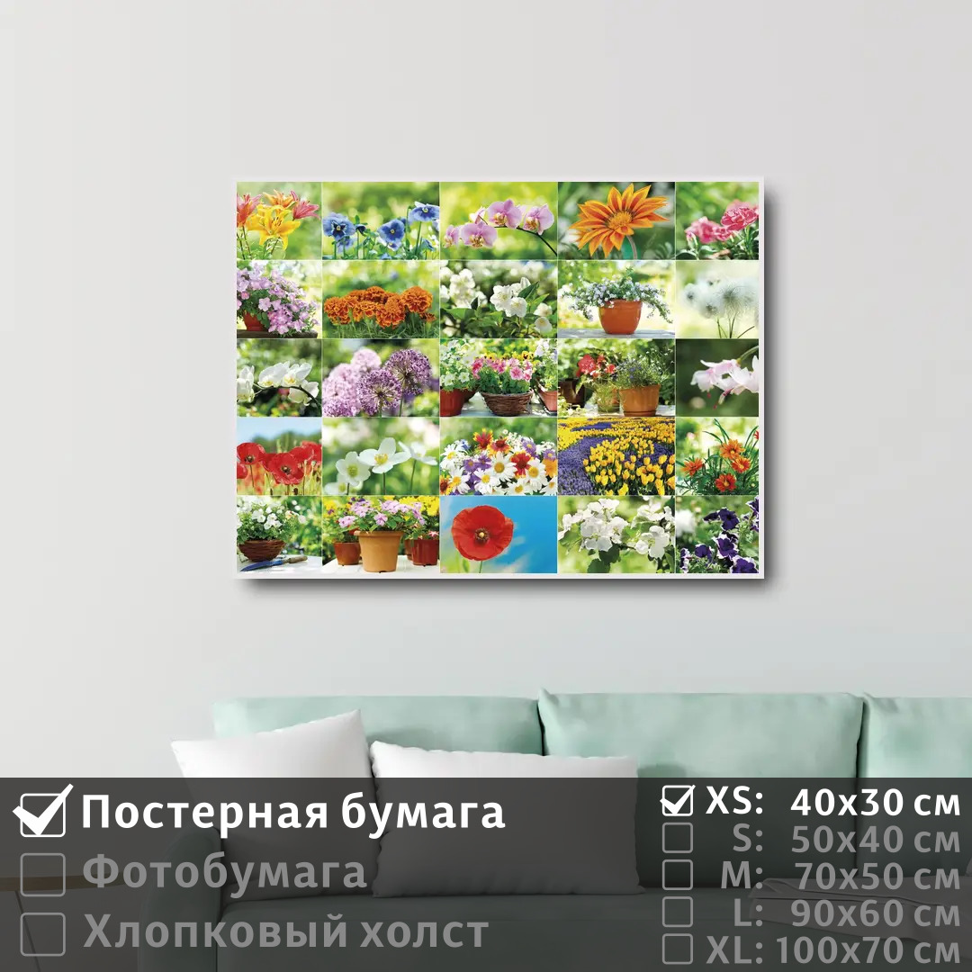 

Постер на стену ПолиЦентр Коллаж из красивых цветов 40х30 см, КоллажИзКрасивыхЦветов