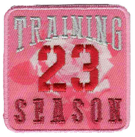 

33373/1SB Термоаппликация HKM "Training 23 Season Rosenprint", Розовый