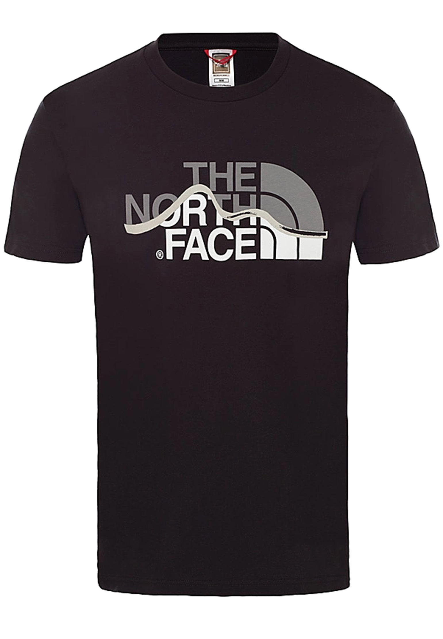 

Футболка мужская The North Face 132226 черная L, 132226