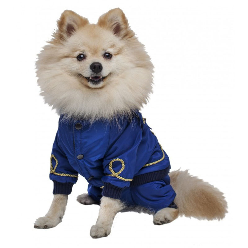 

Комплект полукомбинезон и куртка ZooExpress DogVille 31237м, на кнопках, демисезон, 37 см