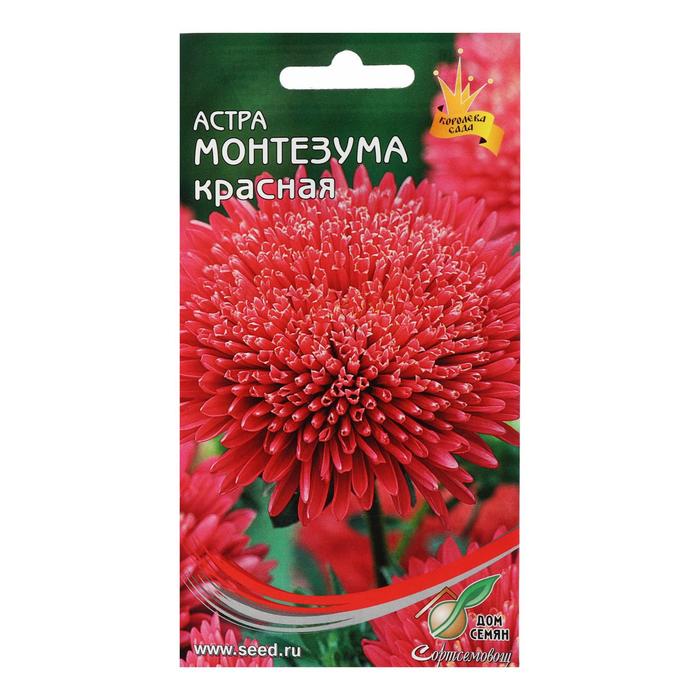 

Семена цветов Астра "Монтезума", красная, 100 шт