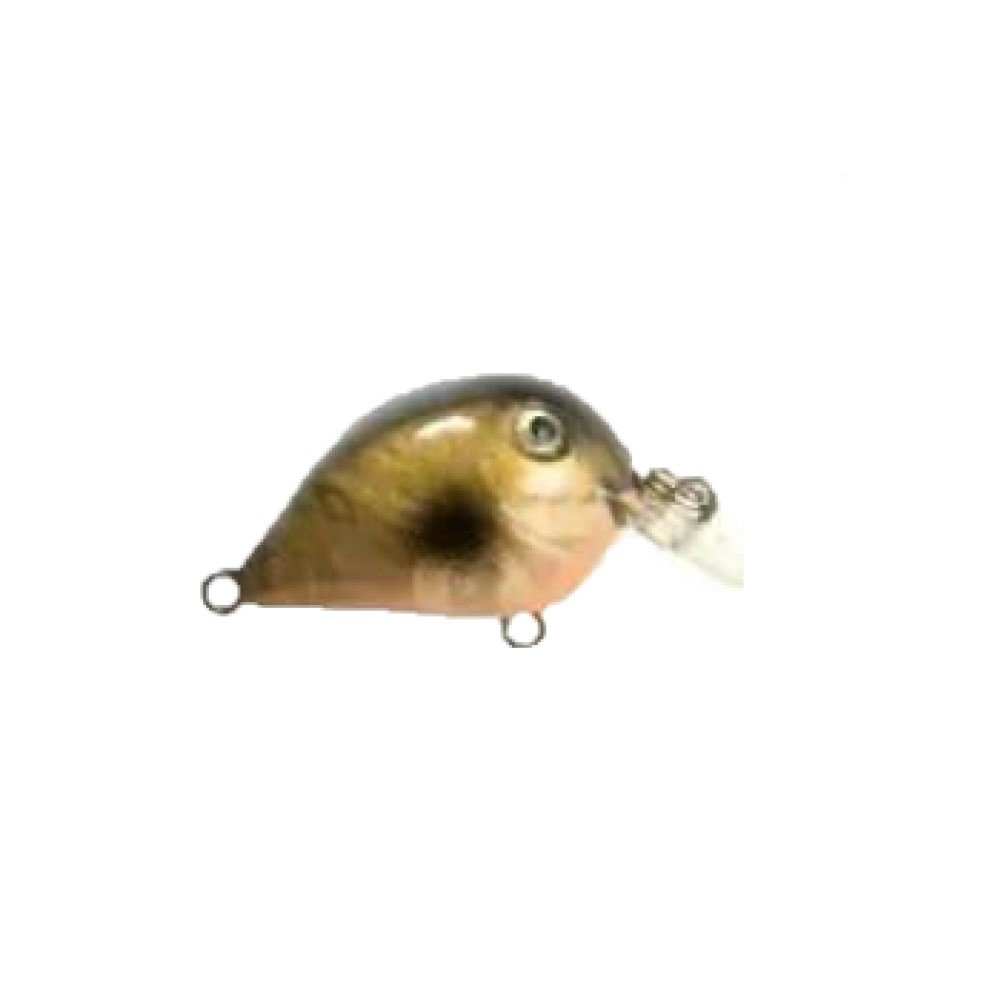 

Raiden Воблер RAIDEN MINI FAT ( Длина (мм) 25; Вес (гр.) 2,9 / G14), Разноцветный