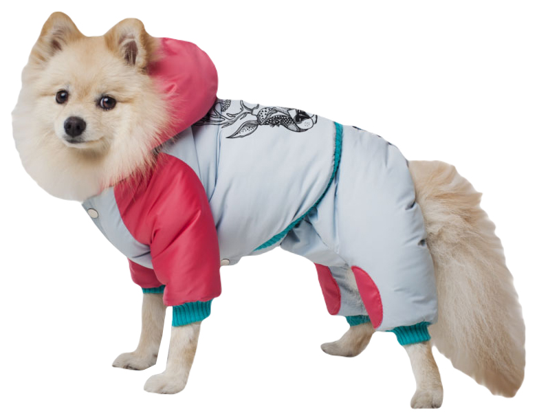 

Комплект полукомбинезон и куртка ZooExpress DogVille 52623м, с капюшоном, на кнопках, зима