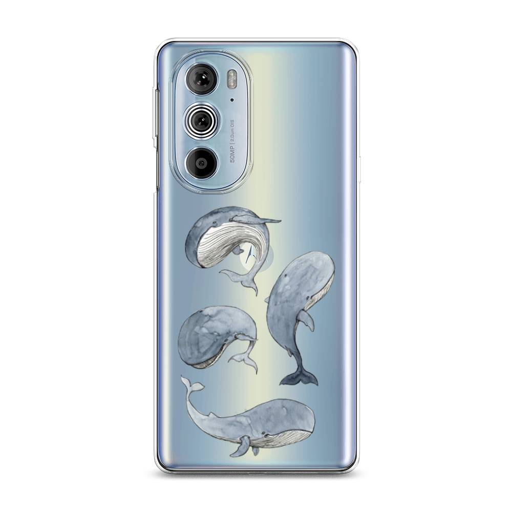 

Чехол Awog на Motorola Edge 30 Pro "Киты", Разноцветный, 243350-1