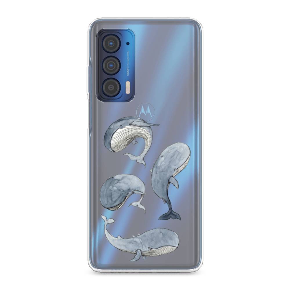 

Чехол Awog на Motorola Edge (2021) "Киты", Разноцветный, 242950-1