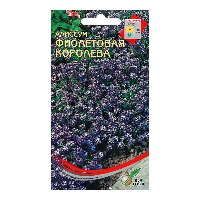 

Семена цветов Алиссум "Фиолетовая королева", 210 шт