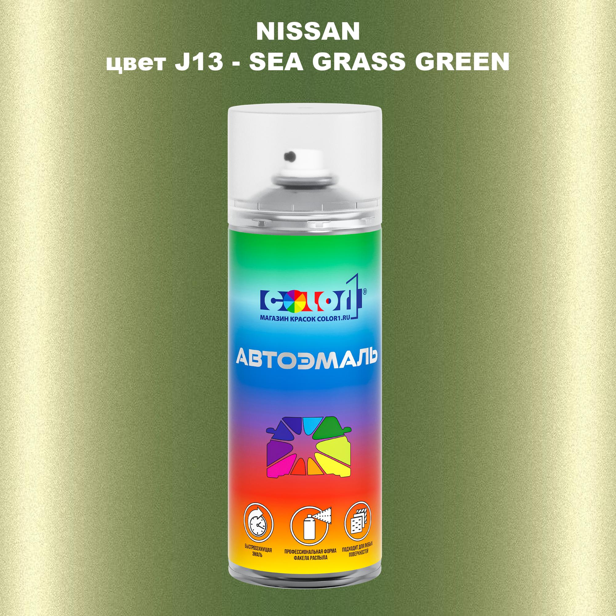 

Аэрозольная краска COLOR1 для NISSAN, цвет J13 - SEA GRASS GREEN, Зеленый